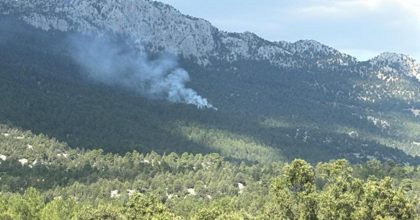 Antalya'nın Akseki ilçesinde orman yangını