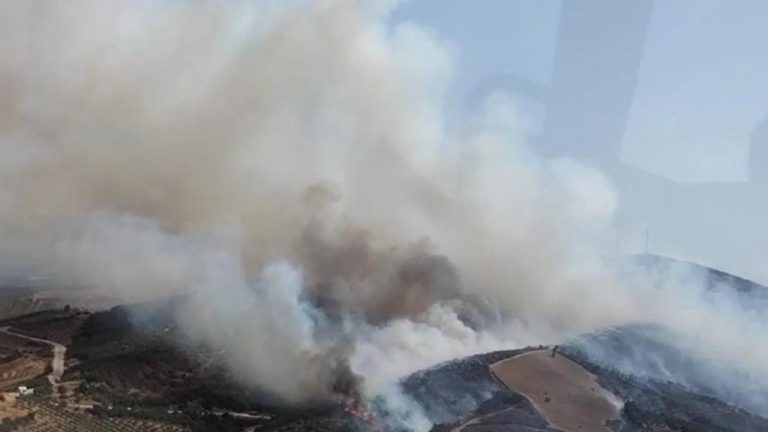 Manisa'da orman yangını – Son dakika haberleri