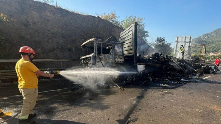 Depo yüklü kamyon alev aldı