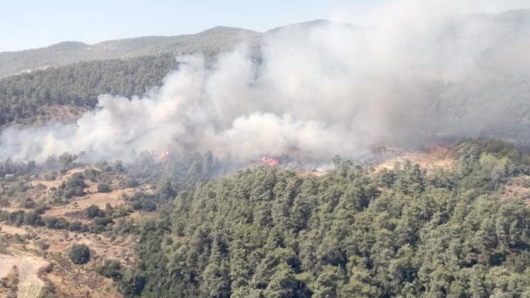 Muğla'da orman yangını – Son haberler