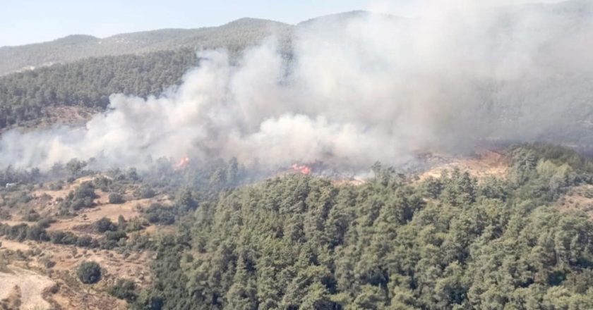 Muğla'da orman yangını – Son haberler