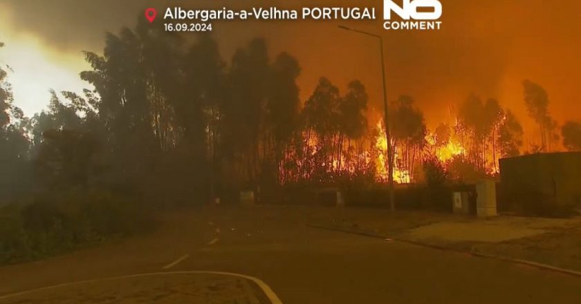 Video. Portekiz’de orman yangınları yerleşim yerlerine de sıçradı