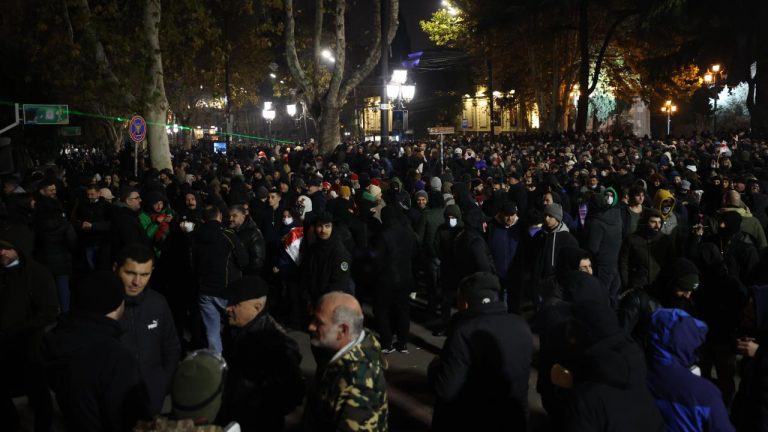 Gürcistan’da AB yanlısı göstericilerin protestoları devam etti