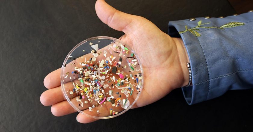 İnsan beynindeki mikroplastik ilişki hızla artıyor