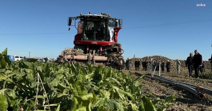TZOB’dan “Çiftçi” talebi: “Doğal felaketten etkilenen çiftçilerimizin hasarı karşılanmalı ve banka kredileri faiz olmadan ertelenmelidir” – Türkiye haberlerini kırmak