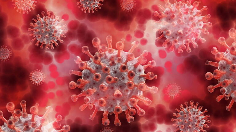 Türkiye’de her 100 kişiden 24’ünde görülüyor: Geç teşhis organ yetmezliğine sebep oluyor – Son Dakika Yaşam Haberleri