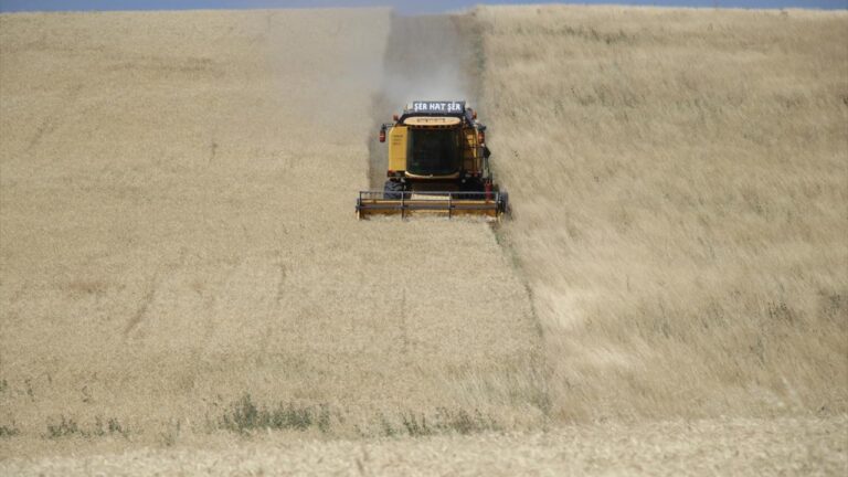İstanbul Valiliği’nden yangınlarla ilgili yeni önlem