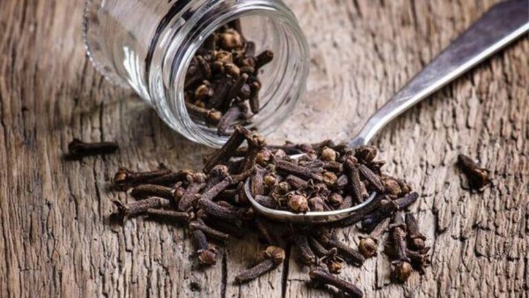 Hem dolaşım sistemine hem saçlara faydalı! Karanfil Kürü Nedir, Nasıl Yapılır? Karanfil Kürü Faydaları Nelerdir?