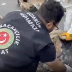 Sarp Gümrük Kapısı ve İstanbul’da uyuşturucu operasyonu