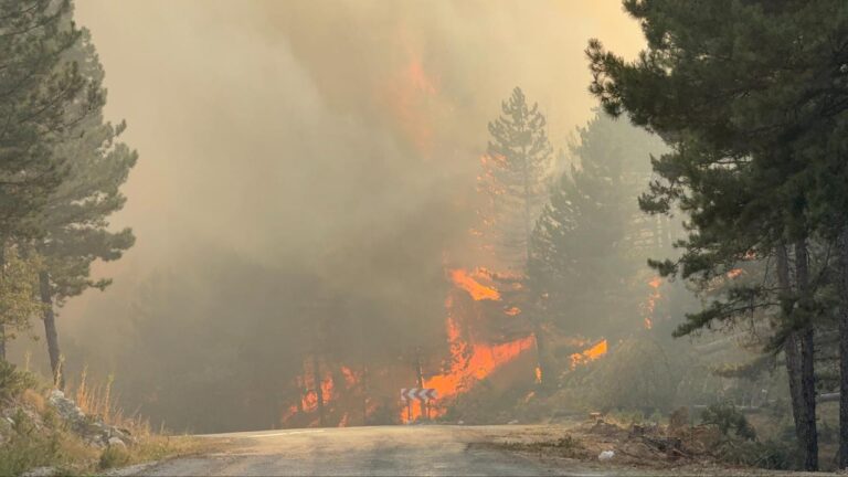 Karabük’te orman yangını – Son Dakika Haberleri