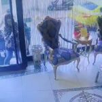 İstanbul’da 4 kişilik Böcek ailesi hayatını kaybetmişti! 4 kişi tutuklandı