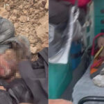 Hatay’da Dayı Dehşeti: 10 Yaşındaki Yeğenini Gömüp Terk Etti